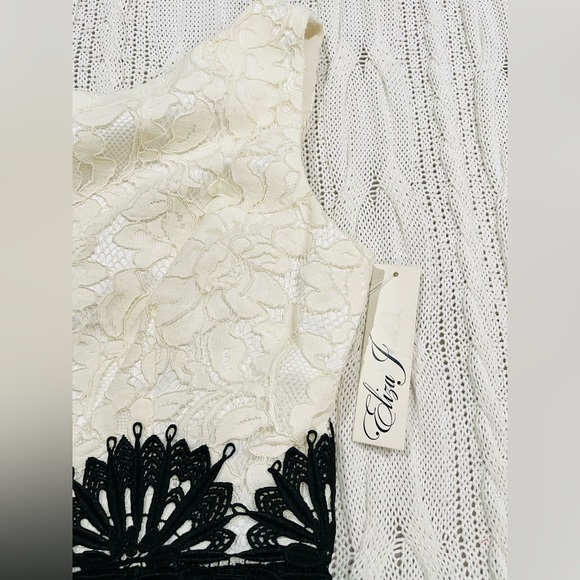 NWT Eliza J Black & White Lace Fit and Flare Midi Dress - Picture 10 of 15